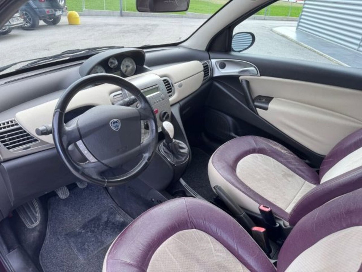Lancia Ypsilon 1.3 MJT 75 CV Passion (9)