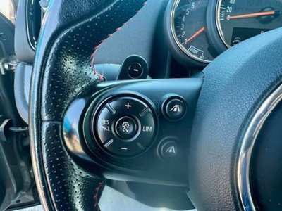 MINI Mini Countryman 2.0 Cooper S Countryman ALL4 (19)