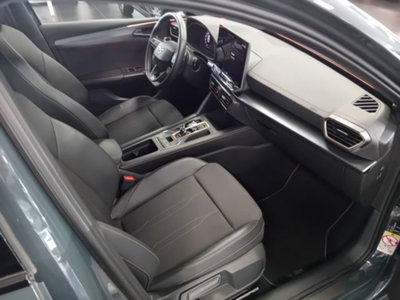 Cupra Leon Leon 2.0 tdi 150cv dsg (14)