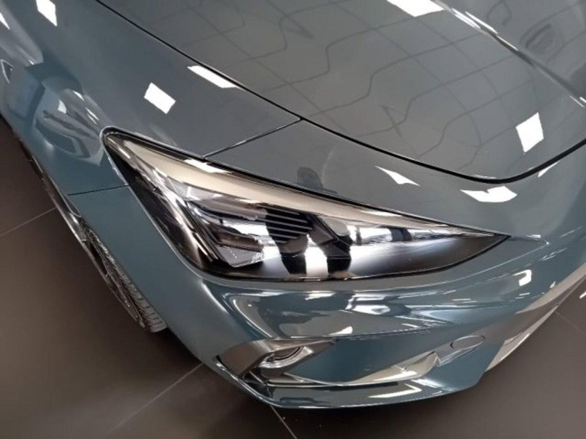 Cupra Leon Leon 2.0 tdi 150cv dsg (4)
