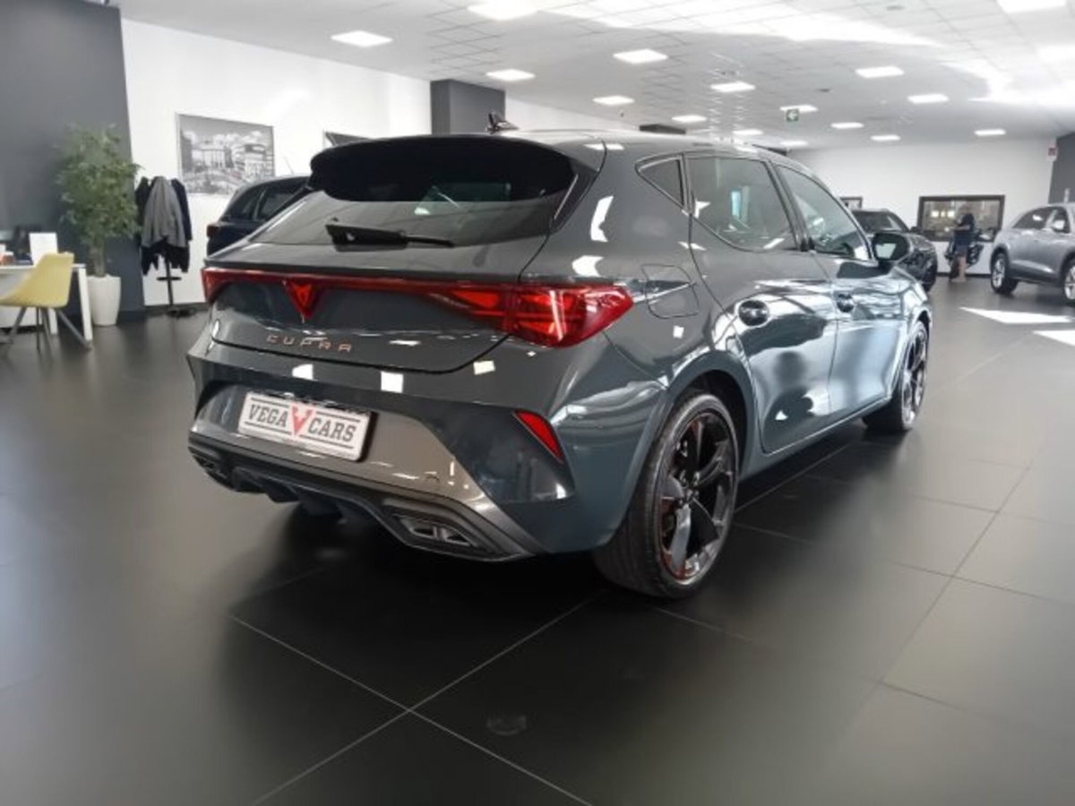 Cupra Leon Leon 2.0 tdi 150cv dsg (8)