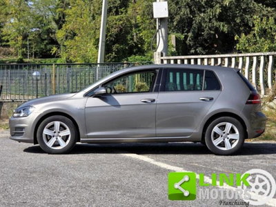 Volkswagen Golf 1.4 TGI DSG 5p. Highline BlueMotion (13)