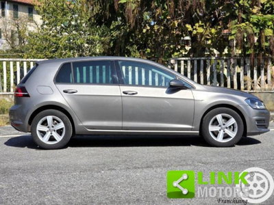 Volkswagen Golf 1.4 TGI DSG 5p. Highline BlueMotion (19)