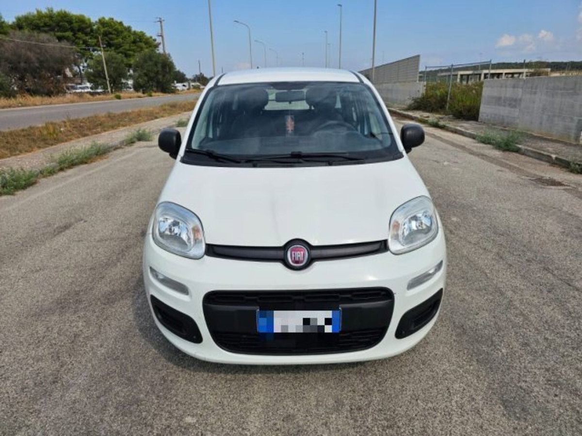 Fiat Panda 1.3 MJT S&S Easy Van 4 posti (2)
