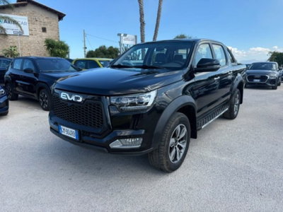 Evo Evo Cross 4 2.0 turbo diesel 136cv (9)
