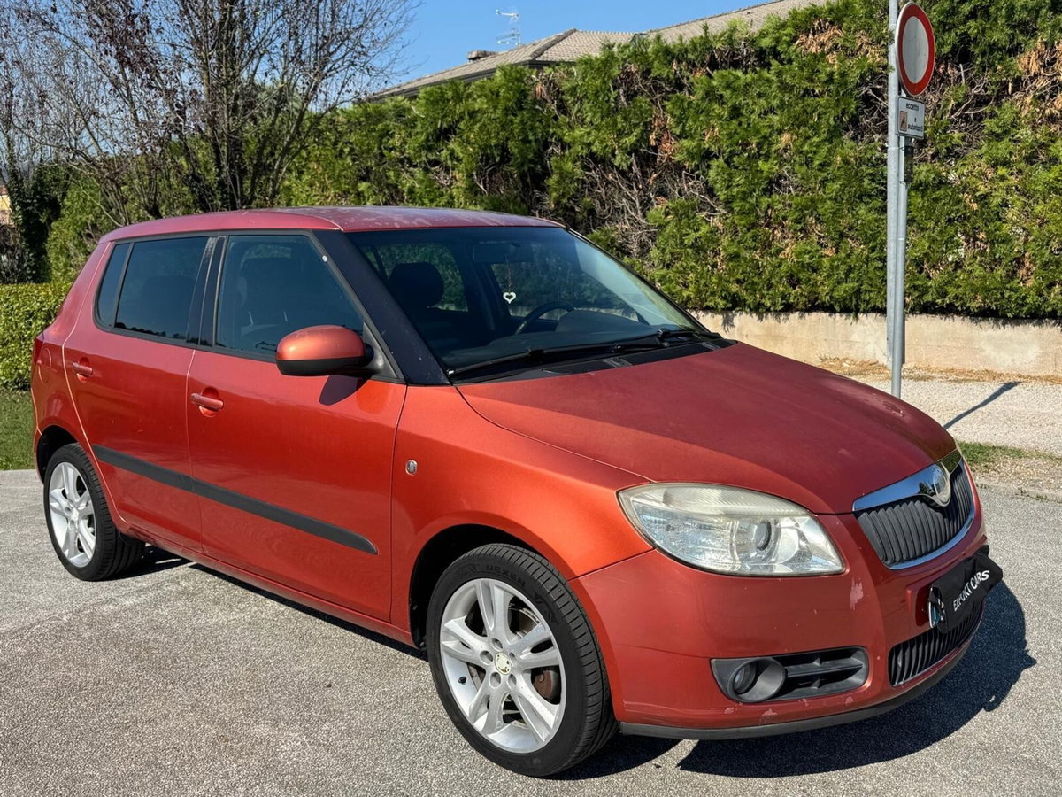 Skoda Fabia 1.4 TDI 80CV 5p. Comfort (3)