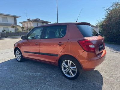Skoda Fabia 1.4 TDI 80CV 5p. Comfort (4)
