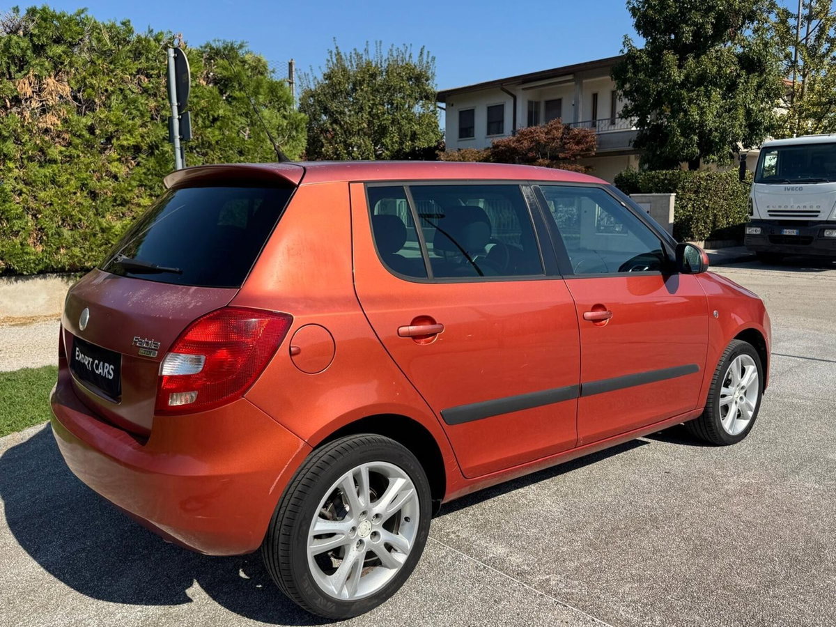 Skoda Fabia 1.4 TDI 80CV 5p. Comfort (6)