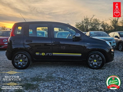 Fiat Panda 1.2 Easy (6)