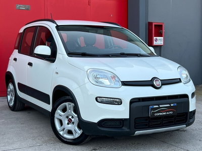 Fiat Panda 1.0 FireFly S&S Hybrid usata