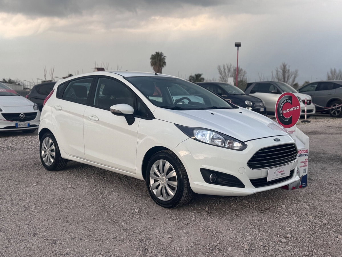 Ford Fiesta 1.5 TDCi 75CV 5 porte Titanium (3)