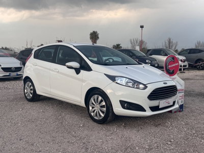 Ford Fiesta 1.5 TDCi 75CV 5 porte Titanium (3)