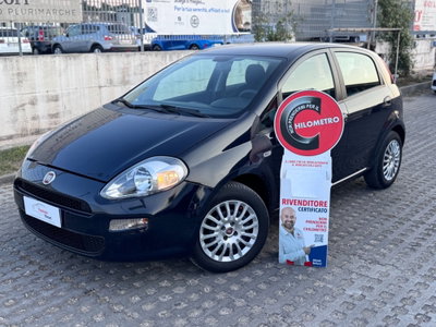 Fiat Punto 1.2 8V 5 porte Street usata
