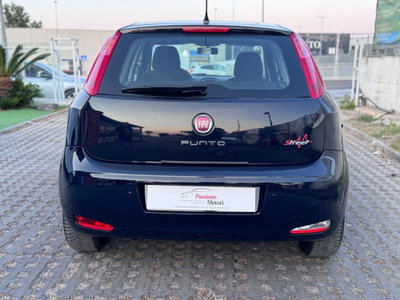 Fiat Punto 1.2 8V 5 porte Street (5)