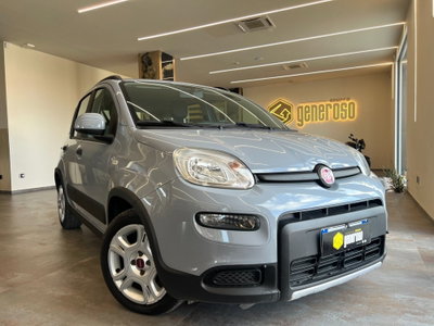 Fiat Panda 1.0 FireFly S&S Hybrid City Cross usata