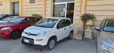 Fiat Panda 1.0 FireFly S&S Hybrid usata