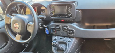 Fiat Panda 1.0 FireFly S&S Hybrid (3)