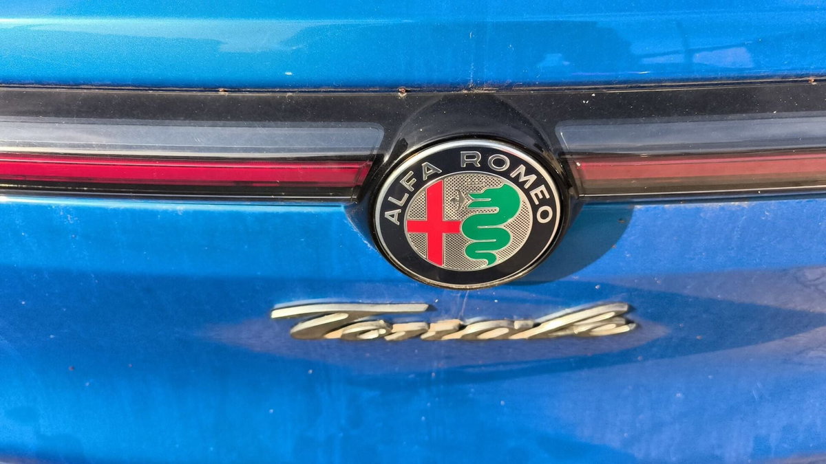 Alfa Romeo Tonale 1.6 Sprint 130cv tct6 (8)