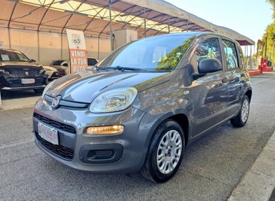 Fiat Panda Cross Cross 1.0 FireFly S&S Hybrid usata