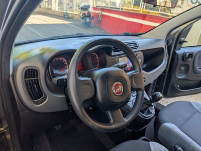 Fiat Panda Cross Cross 1.0 FireFly S&S Hybrid (11)