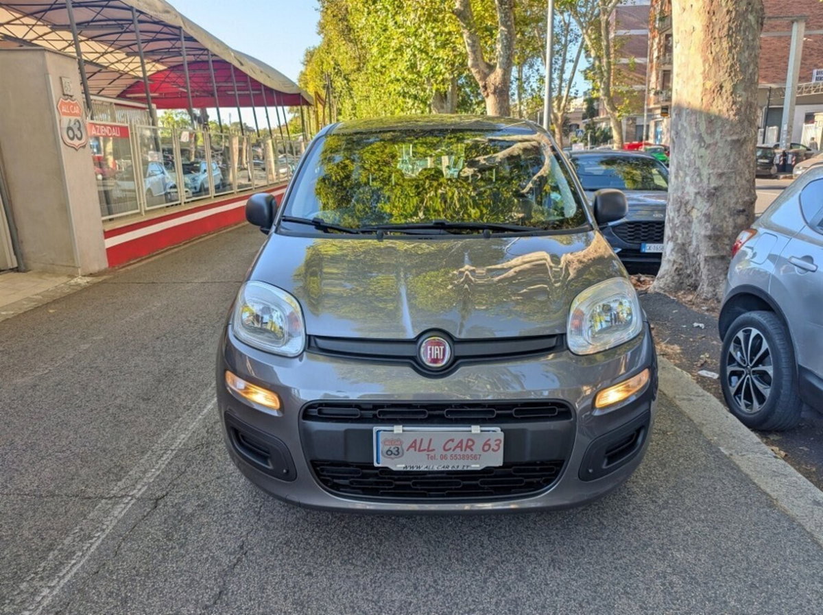 Fiat Panda Cross Cross 1.0 FireFly S&S Hybrid (2)