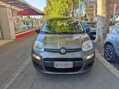 Fiat Panda Cross Cross 1.0 FireFly S&S Hybrid (2)