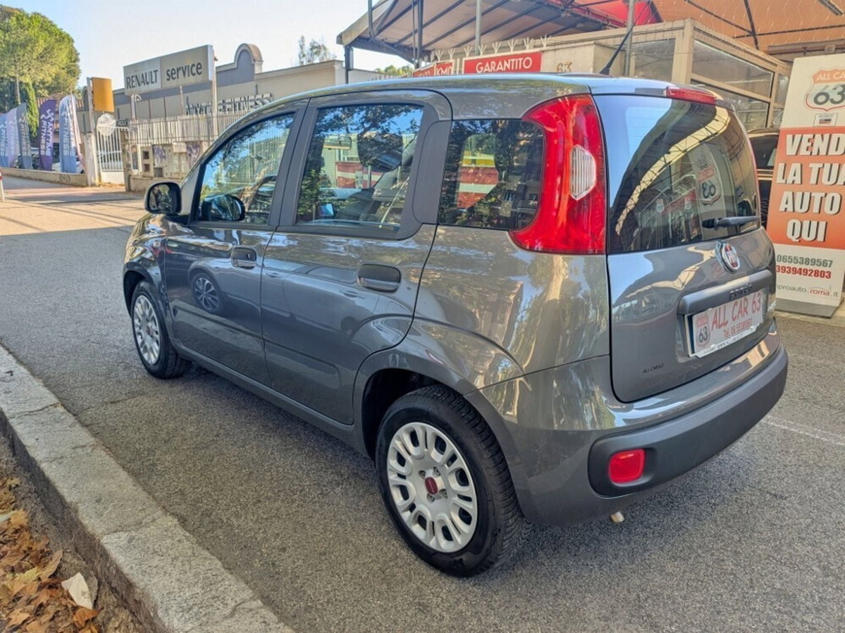 Fiat Panda Cross Cross 1.0 FireFly S&S Hybrid (4)