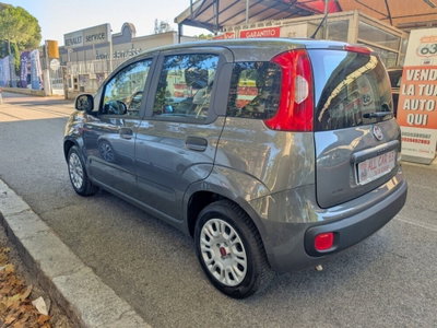 Fiat Panda Cross Cross 1.0 FireFly S&S Hybrid (4)