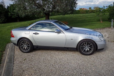 Mercedes-Benz SLK 200 cat (9)