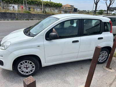 Fiat Panda 1.2 Easy (5)