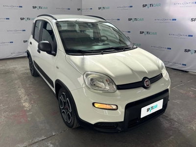 Fiat Panda 1.0 FireFly S&S Hybrid City Cross usata