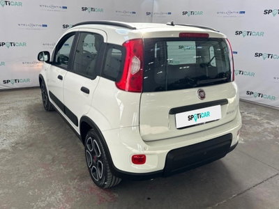 Fiat Panda 1.0 FireFly S&S Hybrid City Cross (6)