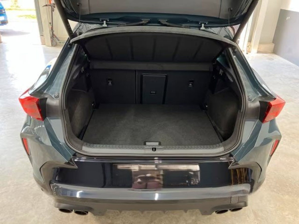 Cupra Formentor 2.0 tsi VZ 4drive 333cv dsg (10)