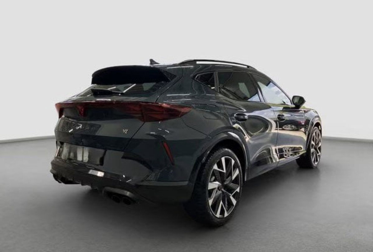 Cupra Formentor 2.0 tsi VZ 4drive 333cv dsg (3)