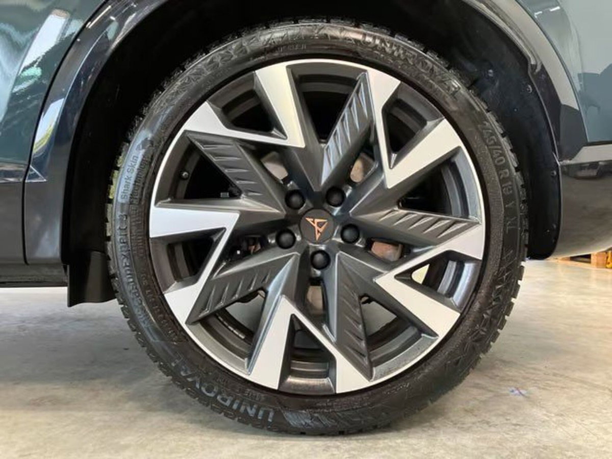 Cupra Formentor 2.0 tsi VZ 4drive 333cv dsg (5)