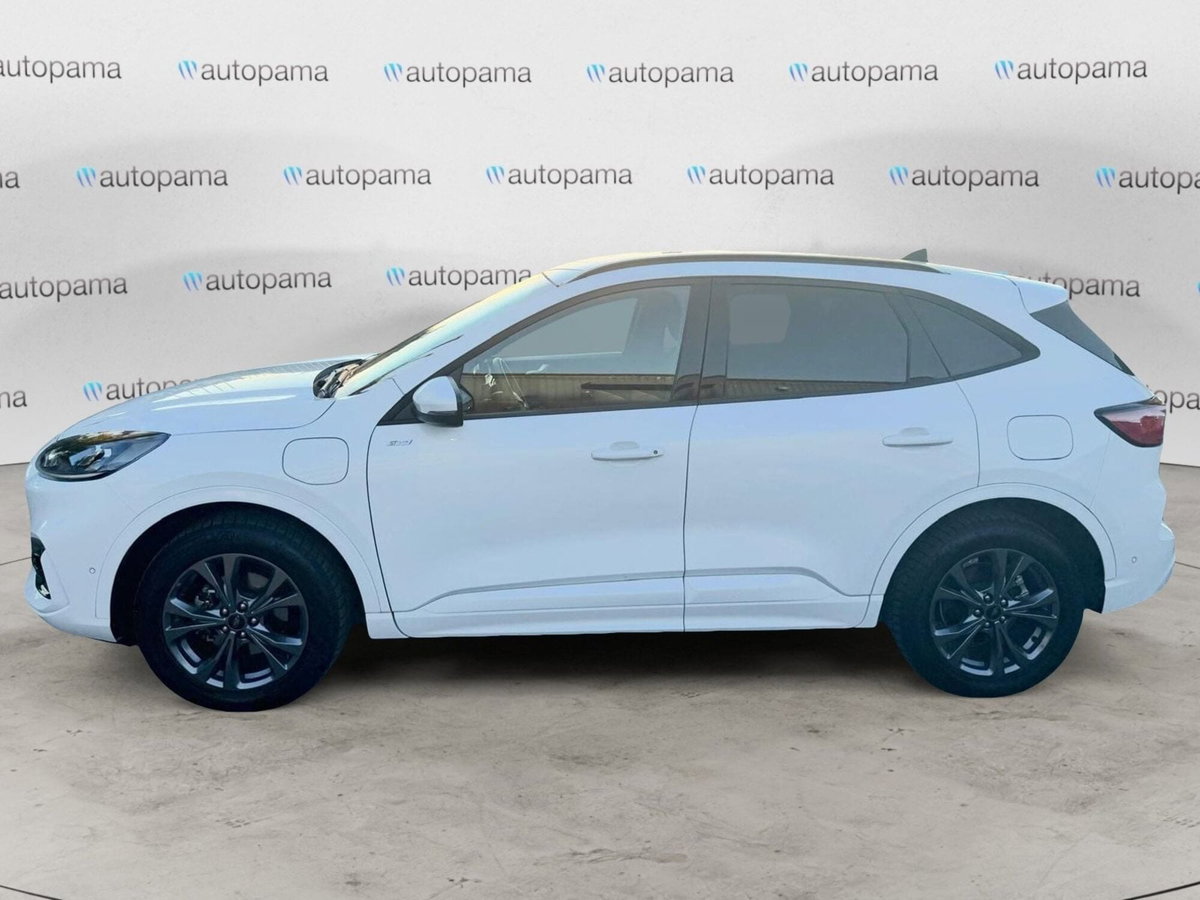 Ford Kuga 2.5 Plug In Hybrid 225 CV CVT 2WD ST-Line (4)