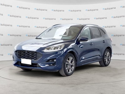 Ford Kuga 1.5 EcoBlue 120 CV 2WD ST-Line usata
