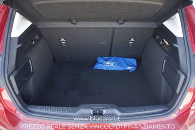 Ford Focus 1.0 EcoBoost Hybrid 125 CV Powershift 5p. Active Style (11)