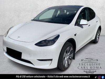Tesla Model Y Long Range awd
