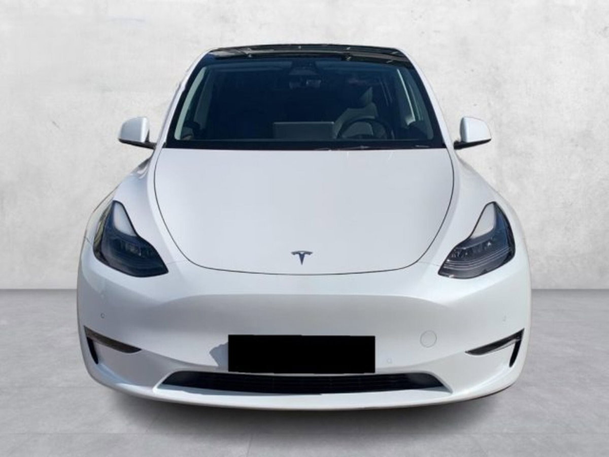 Tesla Model Y Long Range awd (2)