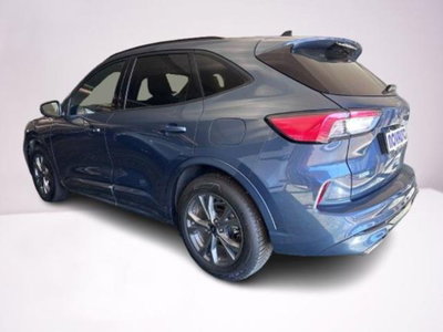 Ford Kuga 2.0 EcoBlue 120 CV aut. 2WD ST-Line X (8)