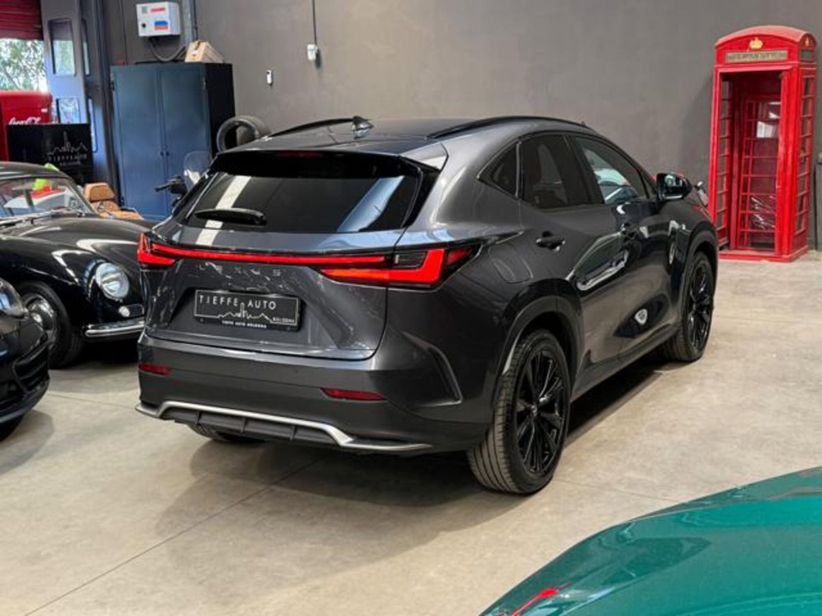 Lexus NX Plug-in 4WD Premium (4)