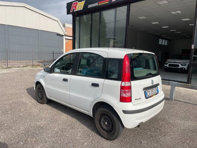 Fiat Panda 1.2 Dynamic (7)