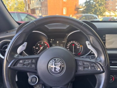 Alfa Romeo Stelvio Stelvio 2.2 Turbodiesel 190 CV AT8 Q4 Sprint (10)