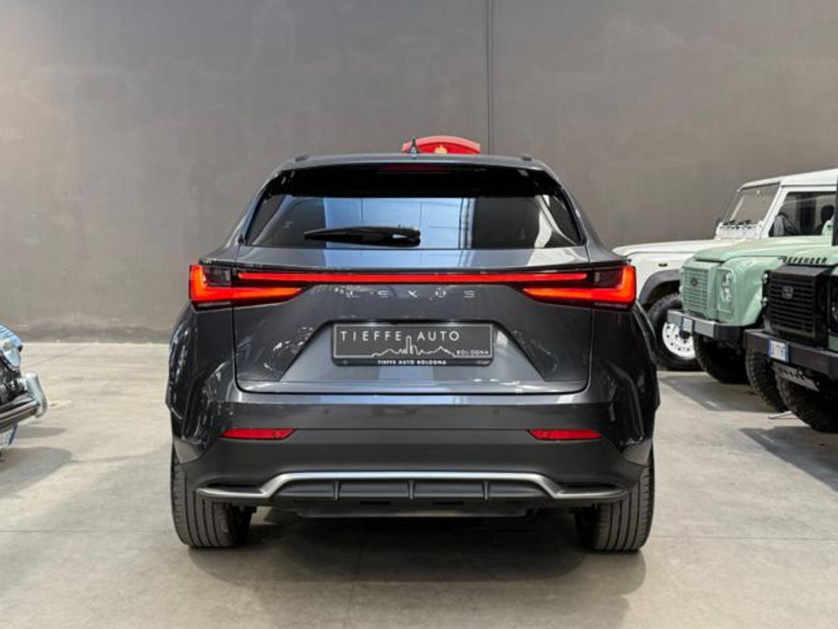 Lexus NX Plug-in 4WD Premium (5)