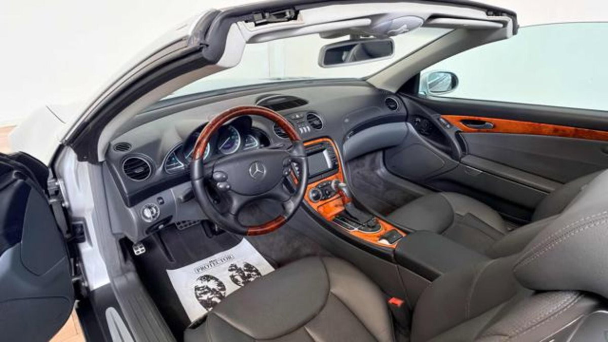 Mercedes-Benz SL 500 cat (10)