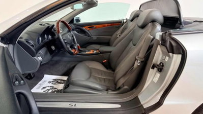 Mercedes-Benz SL 500 cat (13)