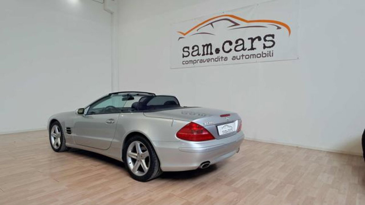 Mercedes-Benz SL 500 cat (2)