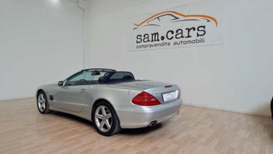 Mercedes-Benz SL 500 cat (2)
