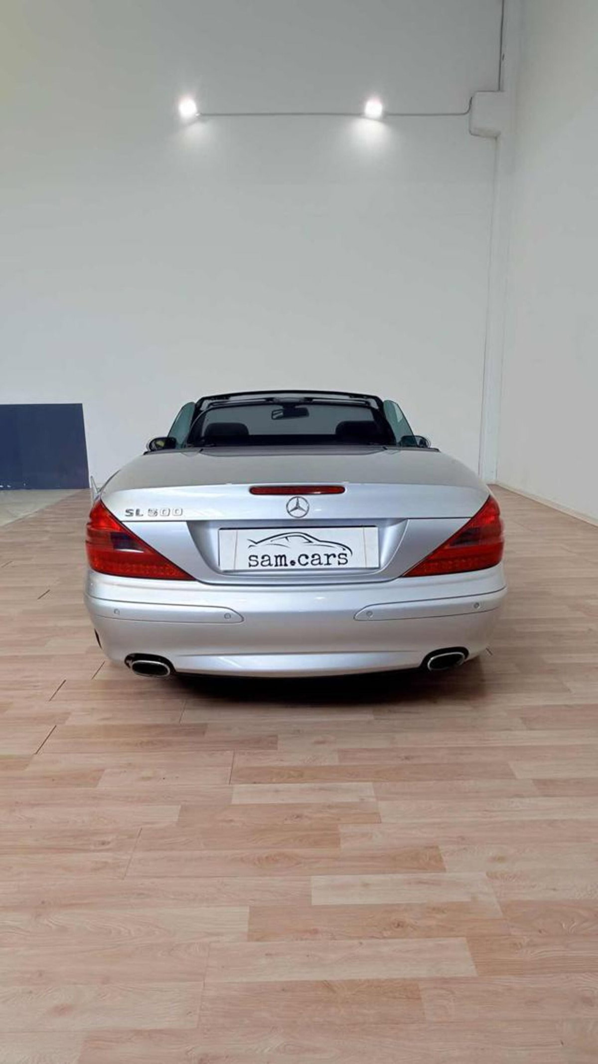 Mercedes-Benz SL 500 cat (4)
